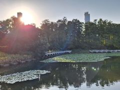 -荔枝公园(福田区)