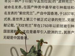 -上海鲜花港