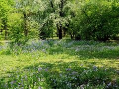 -国家植物园南园