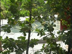 -仁爱团泊湖温泉中心