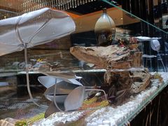 -红辣椒·川菜·火锅(张杨路店)