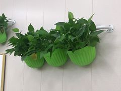-北戴河庆山饭店·海鲜砂锅粥(北戴河黑石路店)