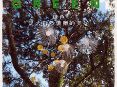 -鼓岭旅游度假区