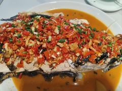 -全乐鱼馆·淳牌有机鱼直营店