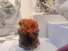 -重庆自然博物馆(新馆)