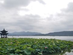 -杭州西湖东坡酒店(湖滨音乐喷泉店)