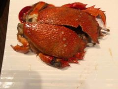 -佛山希尔顿酒店·融誉亚洲美食荟