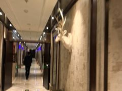 -格莱美量贩式KTV(奥帆店)