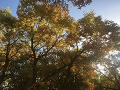 -敦煌莫高国际机场