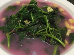 -青叶202都市餐厅(迪诺水镇店)