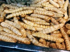 -昆虫窝子·特色云南菜(拓东路总店)