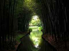 -同里国家湿地公园