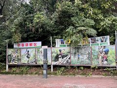 -芦仙山景区-飞越丛林探险乐园