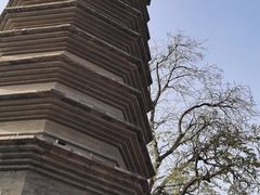 -正阳书局(西四南大街店)
