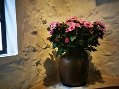 -Apollo·西班牙小酒馆(安福路店)