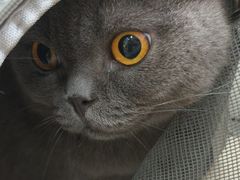 -宠颐生汉谟拉比宠物医院