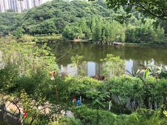 -重庆彩云湖湿地公园