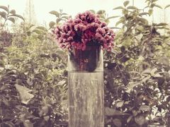 picture-索菲特西湖大酒店·香榭丽全日候餐厅(南山路店)