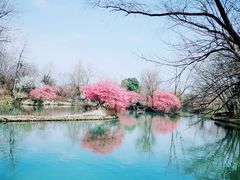 -西溪国家湿地公园