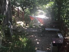 -羚羊峡古栈道森林公园