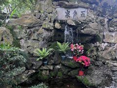 -上海醉白池公园