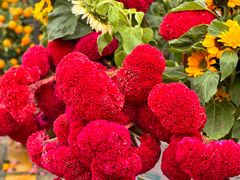 -信基豪泰酒店用品城