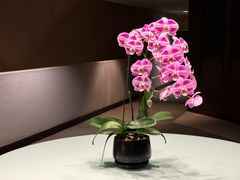 -新加坡泛太平洋酒店
