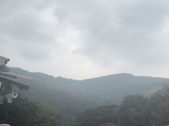 -西双版纳原始森林公园