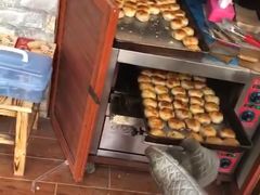 -德兴老面馆(德平路店)