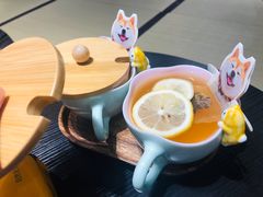 -逗柴咖啡屋·狗咖猫咖宠物桌游