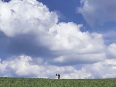 -御道口草原森林风景区