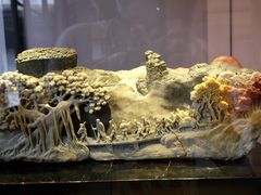 -福建省非物质文化遗产博览苑