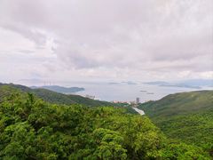 -太平山顶