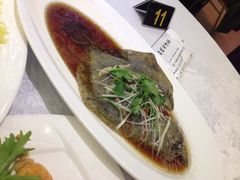 清蒸多宝鱼-红城阁·上海味道(四平路店)