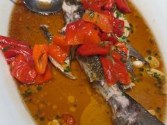 -丹江渔村(望京店)