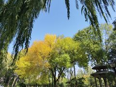 -玲珑塔公园