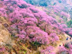 -蒋氏故居