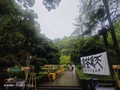 -上海佘山国家森林公园天马山园