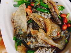 -无影脚佛山陈氏盲公丸始创店(飞鸿街店)