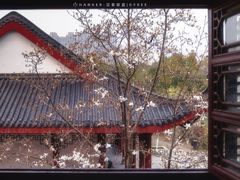 -堤角公园