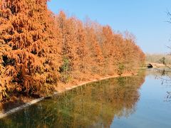 -上海海湾国家森林公园