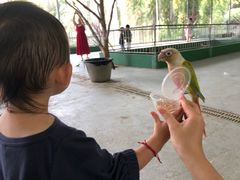 -广东茂名森林公园