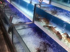 -盒马鲜生(枣园路店)