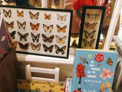 -恋物百货商店(华侨城店)