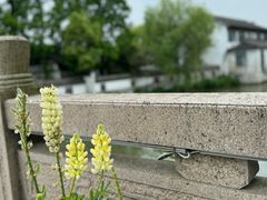 -沙家浜风景区
