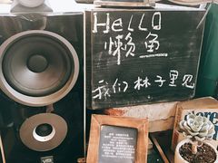 -懒鱼时光馆(沙坪坝店)