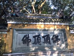 -普陀山风景区-佛顶山