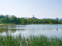 -北坞公园