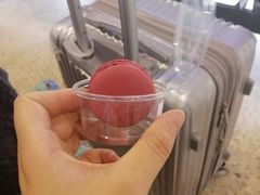-义福巷鱼翅燕窝