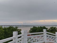 -宝安西湾红树林湿地公园